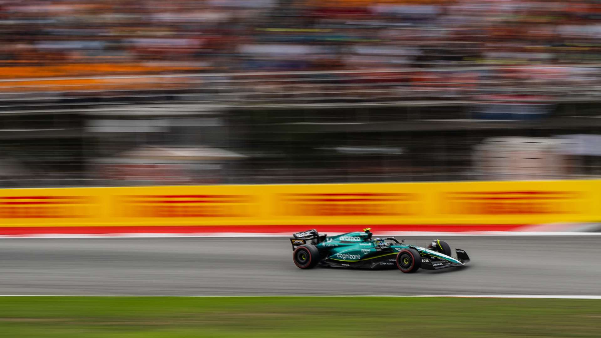 并不罕见 并不罕见